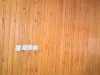 IMG_20220704_082725