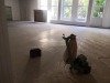 IMG_20220725_162954