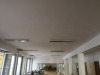 IMG_20220718_081806